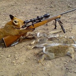 foxm3ist3r