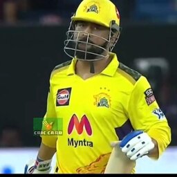 Cricketplus Gamestar