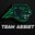 Team Assist