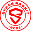 Space Rabbit Esports