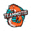 Team_Motis