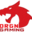 DRGN GAMERS