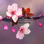 21Blossoms