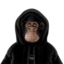 xabsy