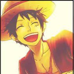 FL4 LUFFY
