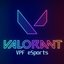 VPF eSports