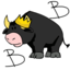 Bialystok BULLS