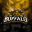 Buffalo Fighters