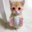 Kittens with Mittens