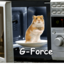 G-Force R6