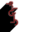 RugID