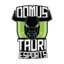 Domus Tauri eSports