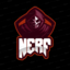 Team NERF