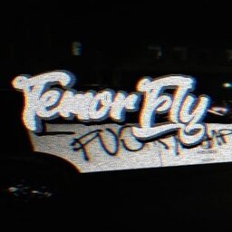 TemorFly