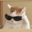 Tryyhards do Aram (was deleted at: 2023-02-24T07:47:16.1927734Z)