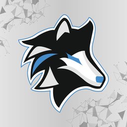 IceWolves Esports CS:GO White - Profile | Challengermode