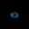 dadooddamo