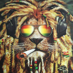 rasta__