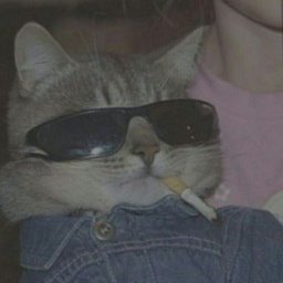 L1kkey