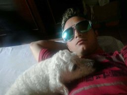 Dog do lar