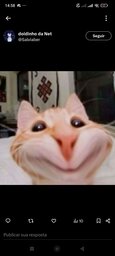 ydhedhezzk