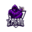ZPGRO