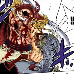 Squalo_martello