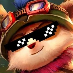 nikusw33