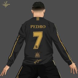 Pedro Henrique Marques Valenzuela