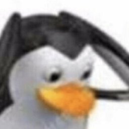 Pdrzinxs????????#3424