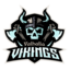 Valhalla Vikings