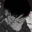 Not_Kuruma