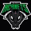 Black Hornets