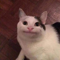Fuc.ke