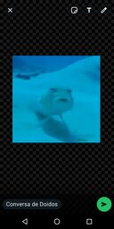 Edson Rafael Barbosa