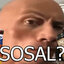 SOSAL?
