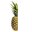 Ananas1k_
