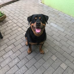 Hptmann