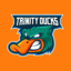 Trinity Ducks C (was deleted at: 2023-10-02T11:28:39.5705019Z)