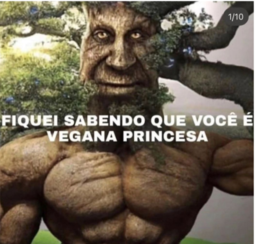 Pika do Céu
