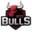 GTZ Bulls