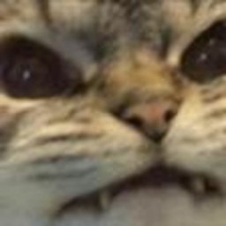 meci