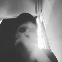 Nitroo