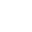 Raccoon Hope