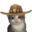 SheriffUnknown