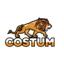Costum Team