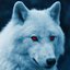 The White Wolves
