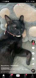 Nico?#1568
