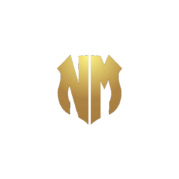 NMPlayer2