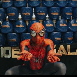 Homem Aranha Alagoano